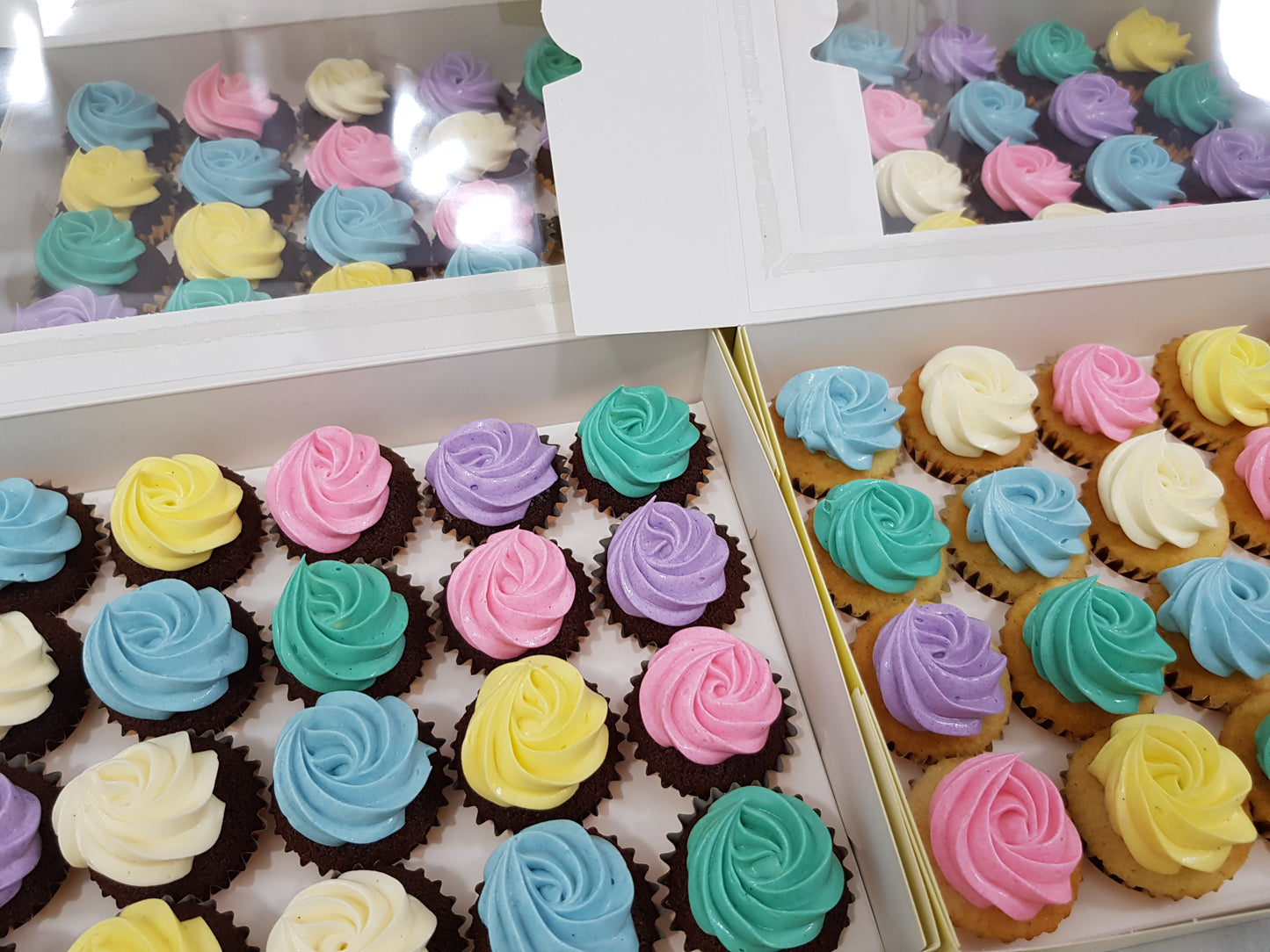 Assorted Colour Frosting Mini Cupcakes (Box of 20) - Cuppacakes - Singapore's Very Own Cupcakes Shop