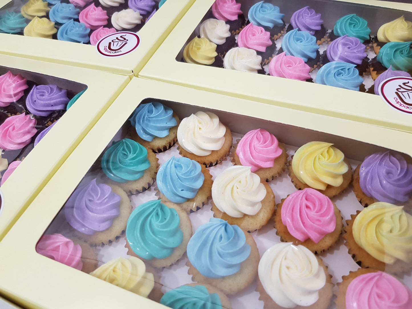 Assorted Colour Frosting Mini Cupcakes (Box of 20) - Cuppacakes - Singapore's Very Own Cupcakes Shop