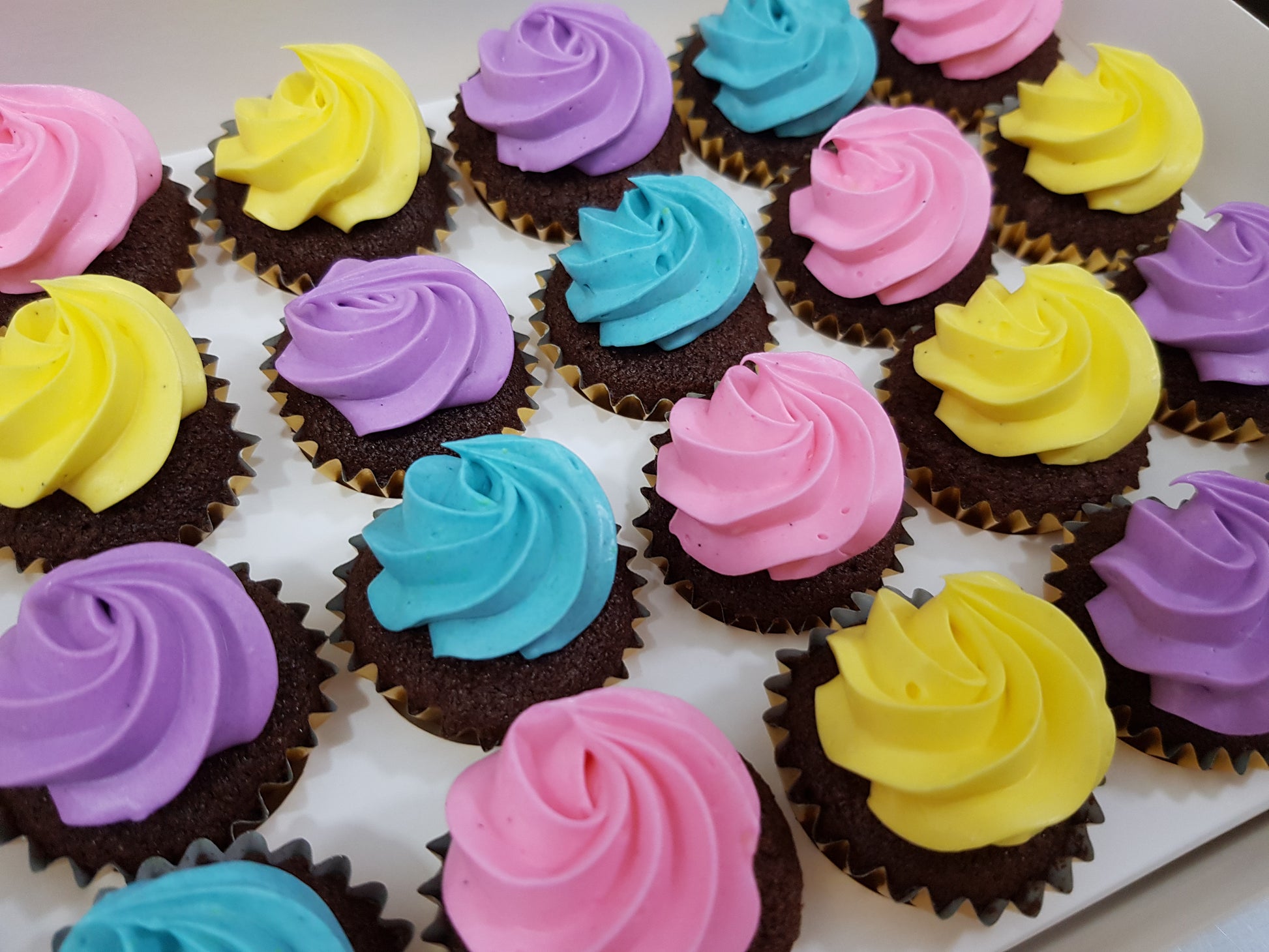 Assorted Colour Frosting Mini Cupcakes (Box of 20) - Cuppacakes - Singapore's Very Own Cupcakes Shop