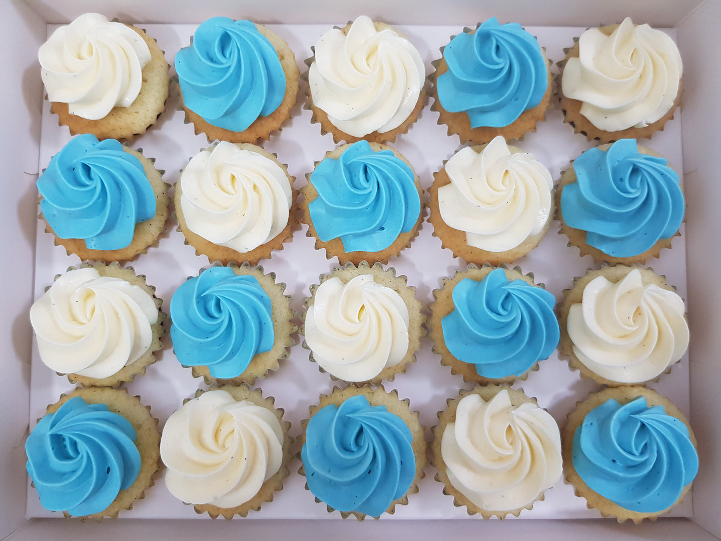 Assorted Colour Frosting Mini Cupcakes (Box of 20) - Cuppacakes - Singapore's Very Own Cupcakes Shop