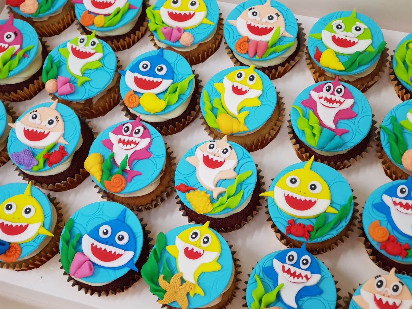 Baby Shark Under the Sea Cupcakes (Box of 12)